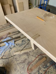 Custom plywood platform bed with interchangable panels